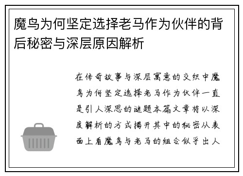 魔鸟为何坚定选择老马作为伙伴的背后秘密与深层原因解析